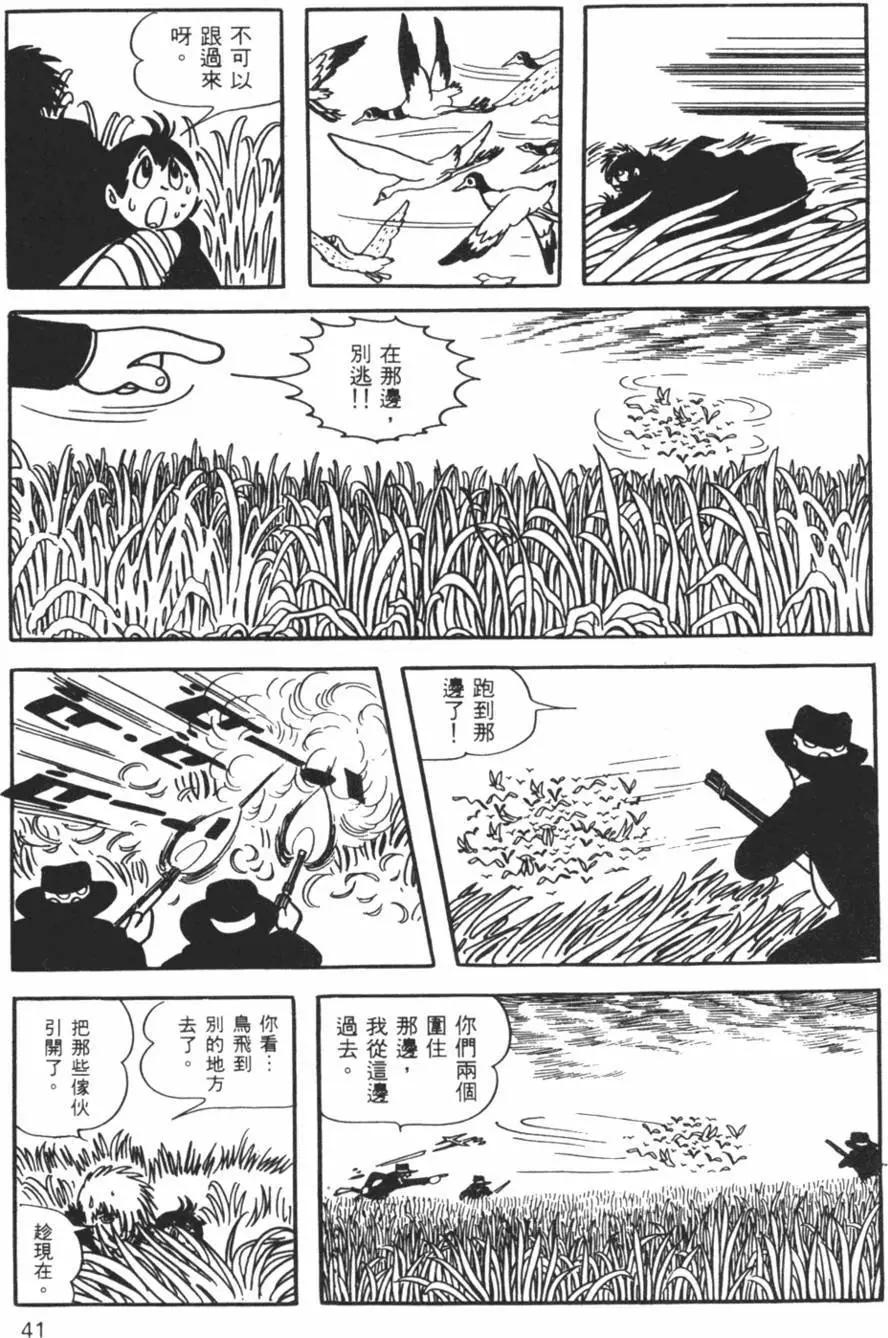 《怪医黑杰克》第12卷 第41页