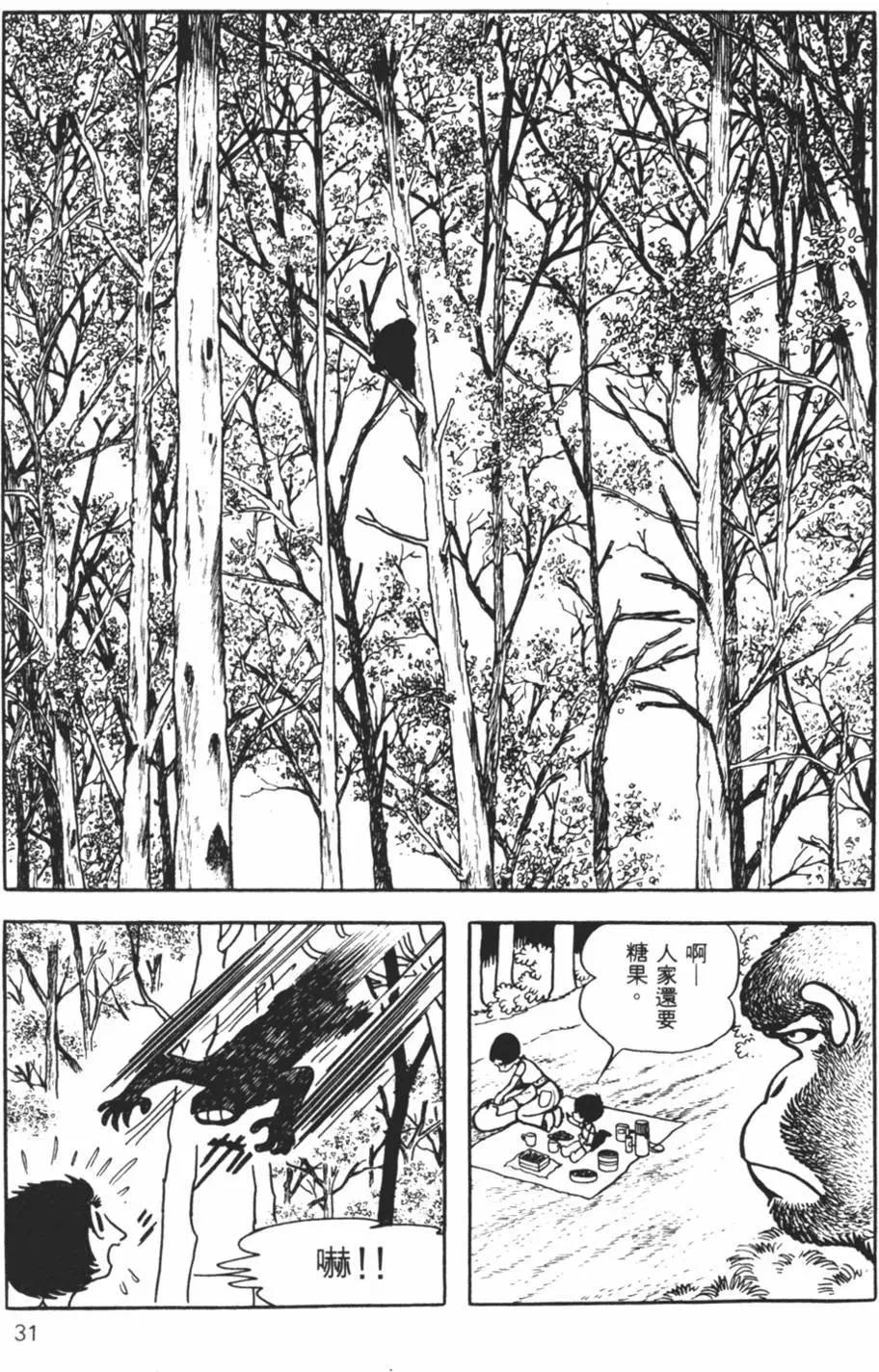 《怪医黑杰克》第13卷 第30页