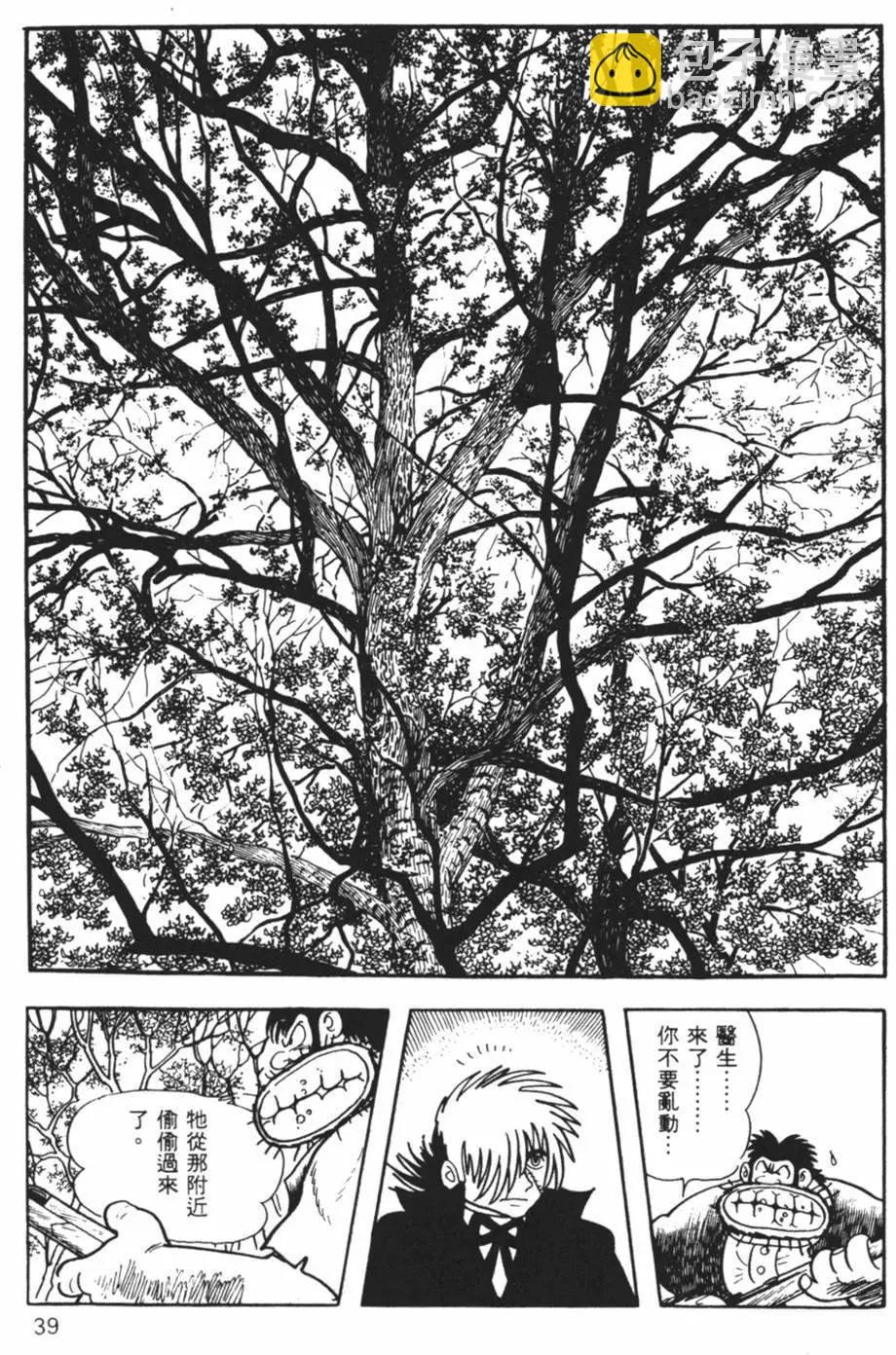 《怪医黑杰克》第13卷 第38页
