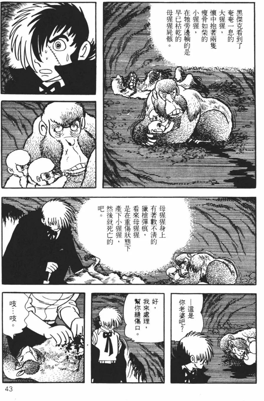 《怪医黑杰克》第13卷 第42页