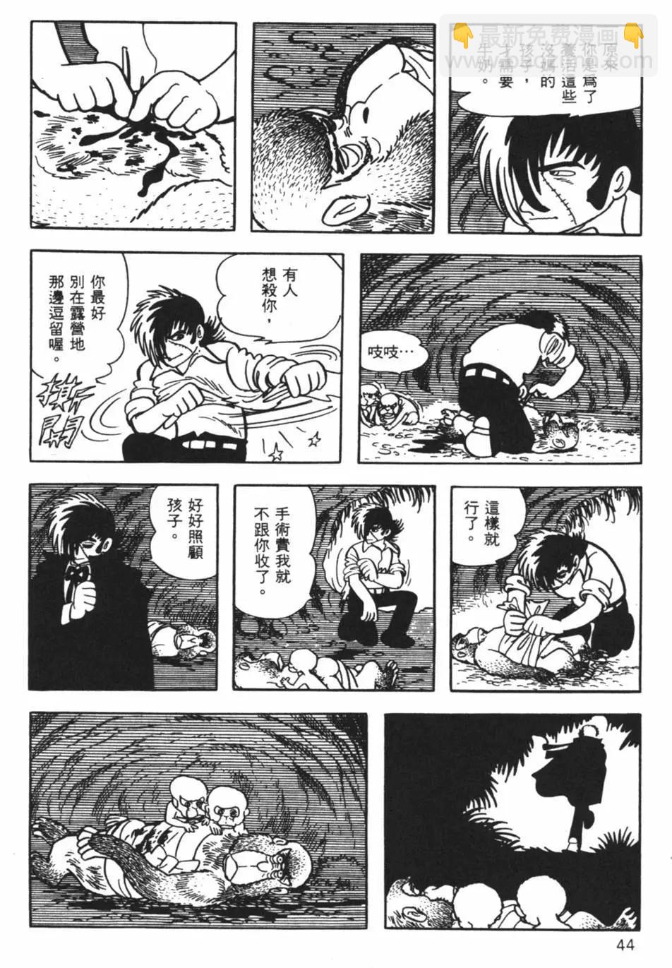 《怪医黑杰克》第13卷 第43页