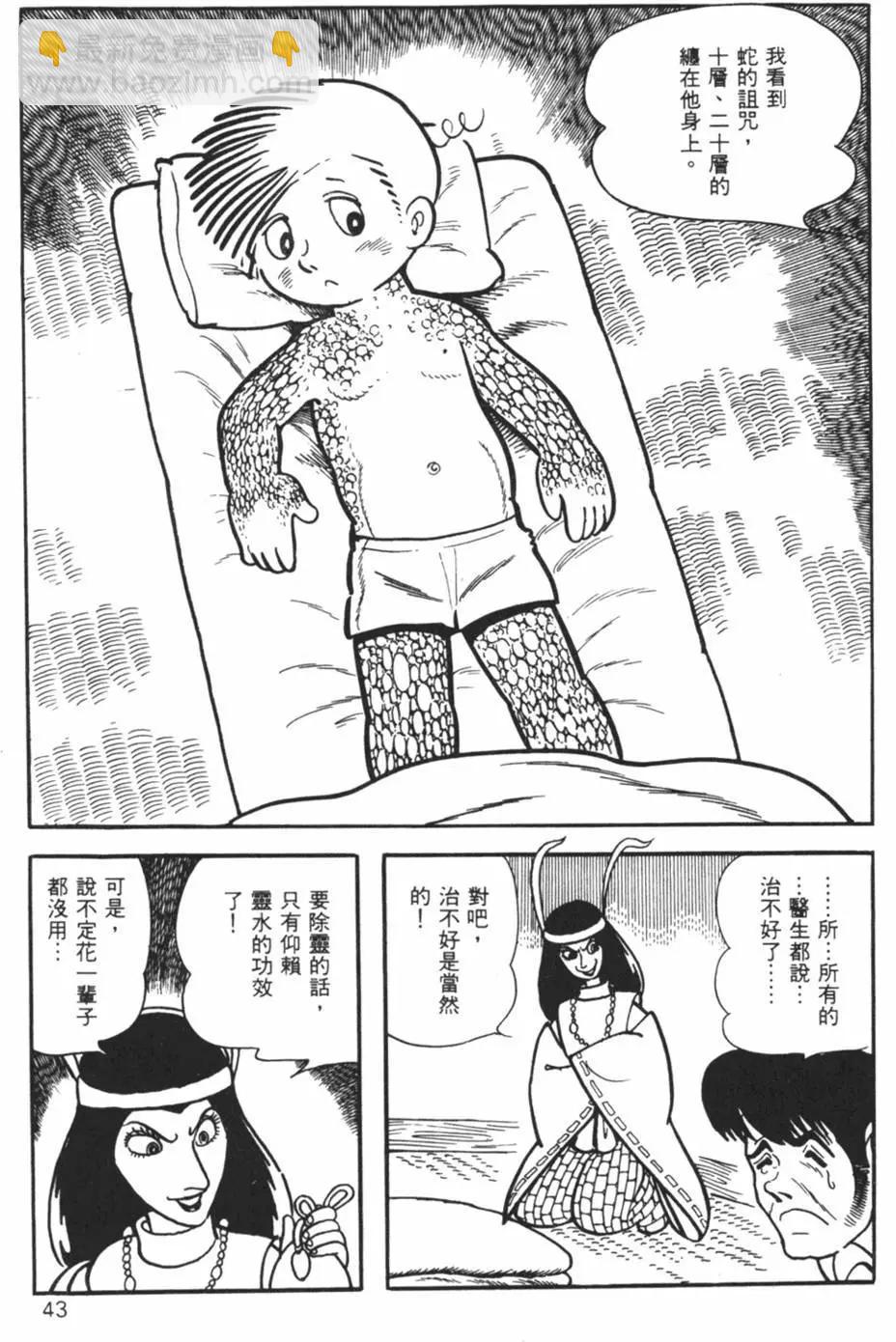 《怪医黑杰克》第17卷 第43页