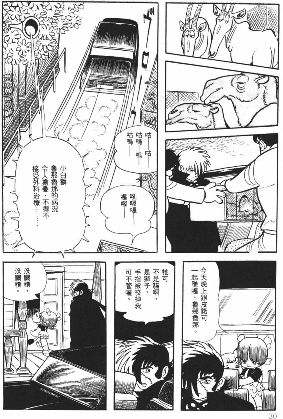 《怪医黑杰克》第22卷 第29页