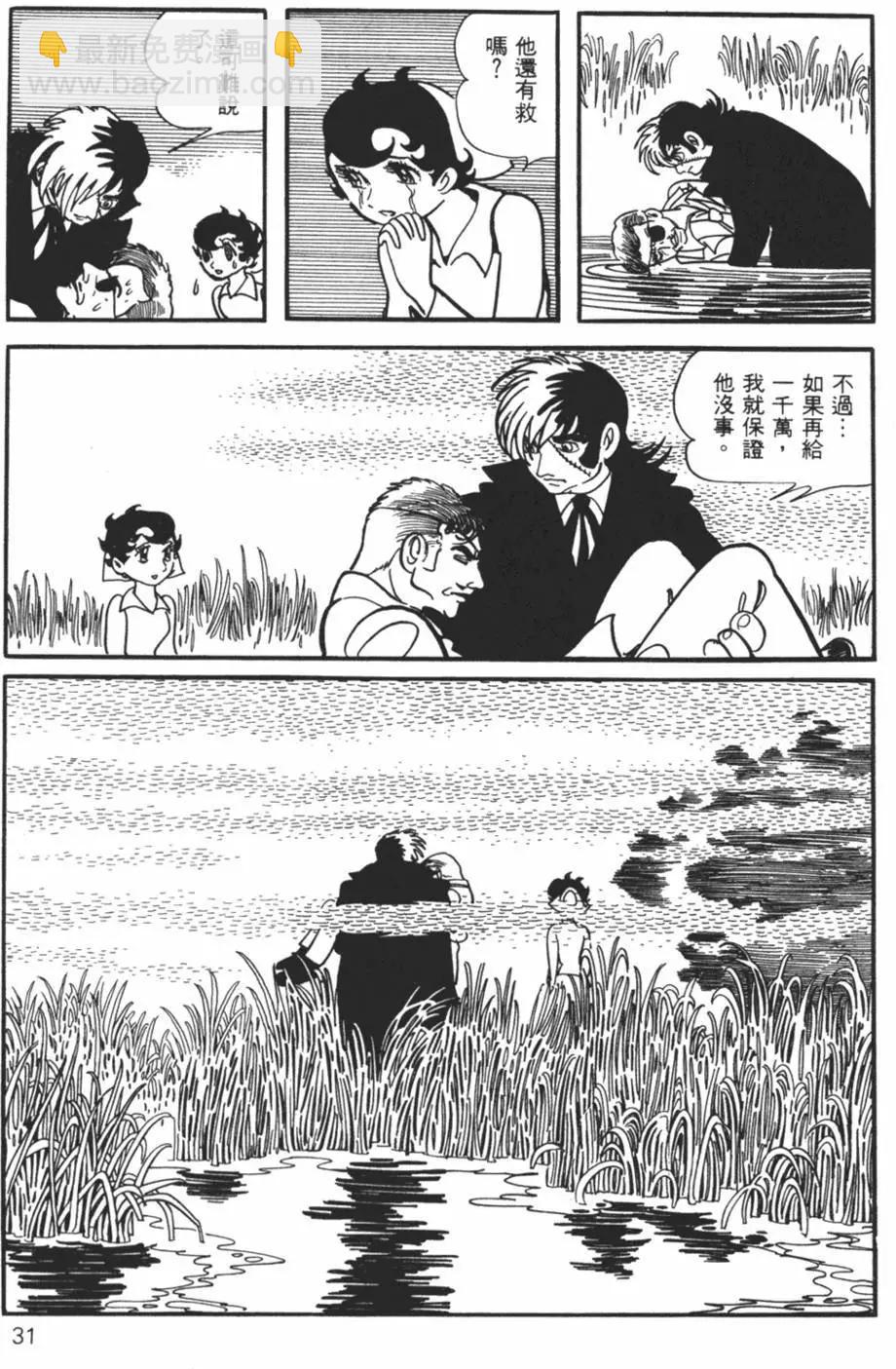 《怪医黑杰克》第29卷 第31页