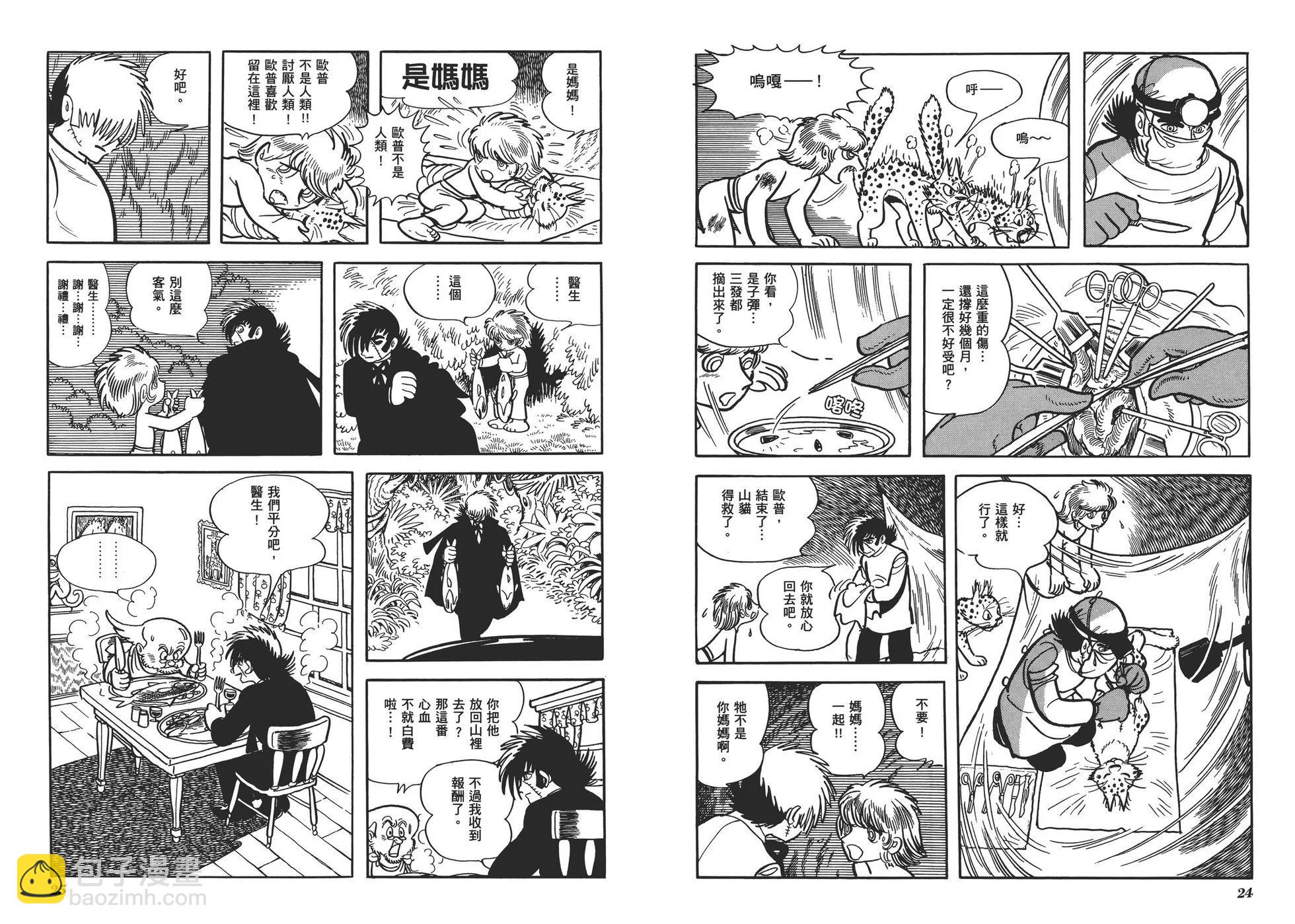 《怪医黑杰克》典藏版12卷 第15页
