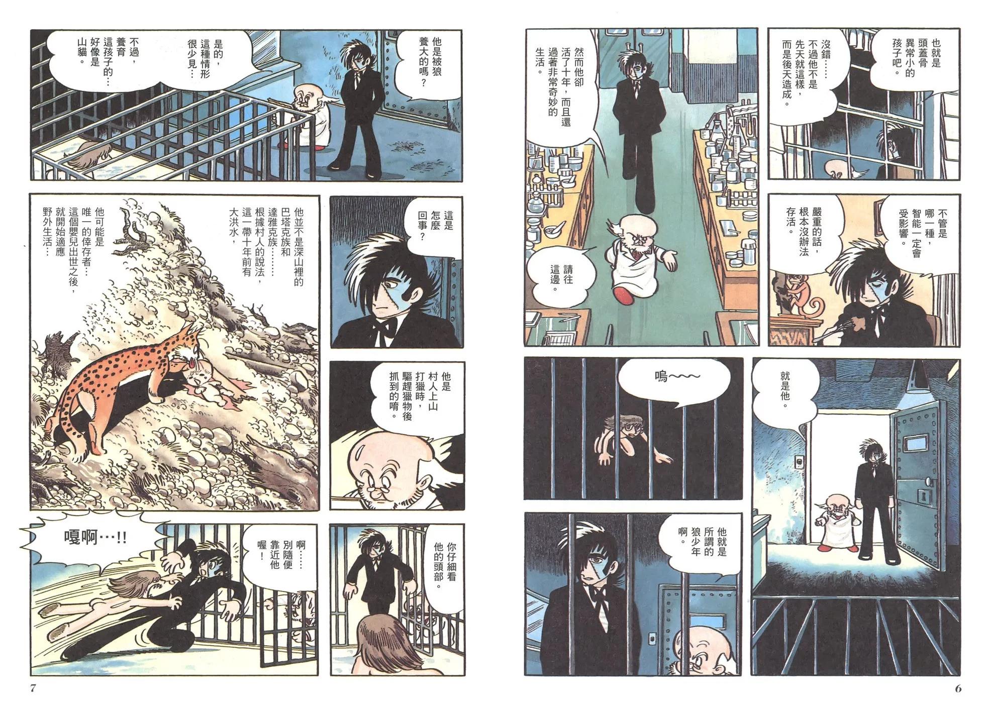 《怪医黑杰克》典藏版12卷 第6页