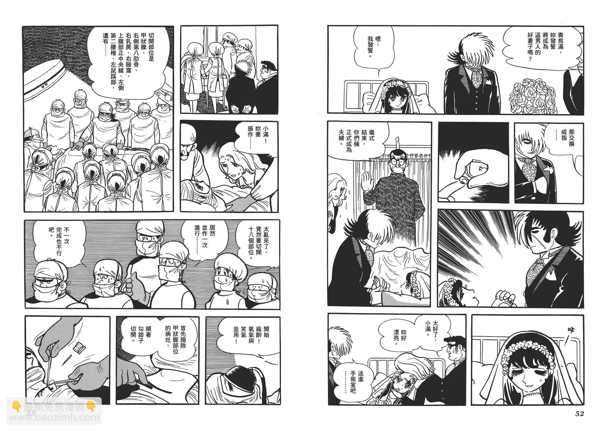 《怪医黑杰克》典藏版14卷 第29页