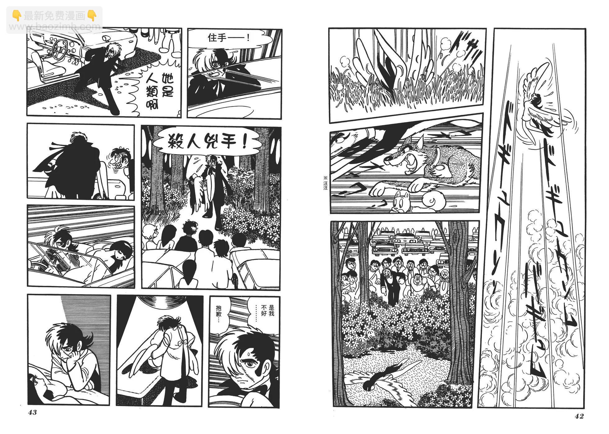 《怪医黑杰克》典藏版17卷 第24页