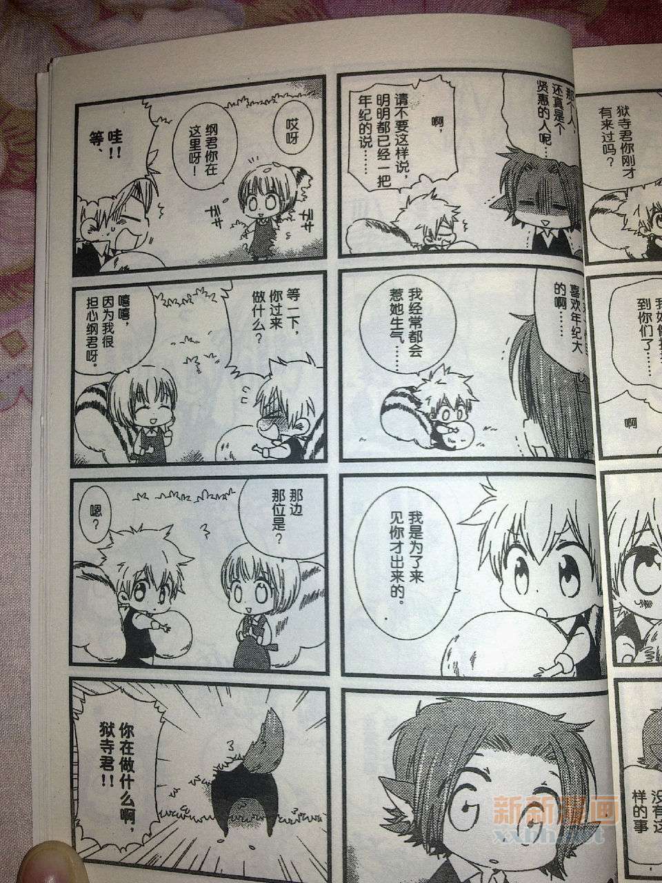 《[家教]狱纲（5927）/关白》并森物语3.5 第6页