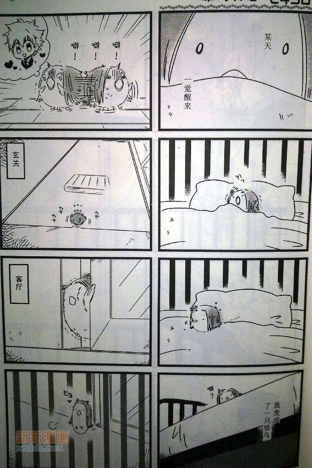 《[家教]狱纲（5927）/关白》雏鸟日志 第1页
