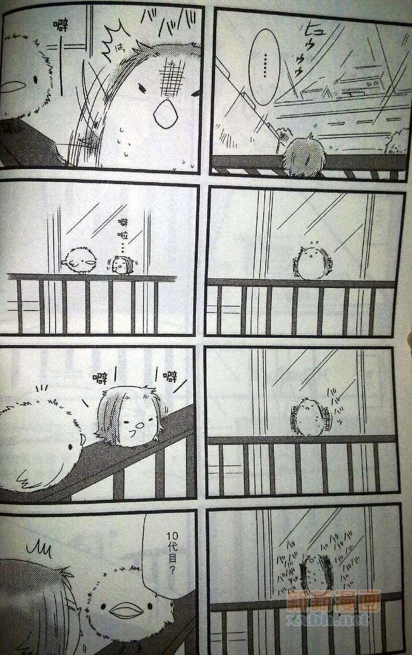 《[家教]狱纲（5927）/关白》雏鸟日志 第2页