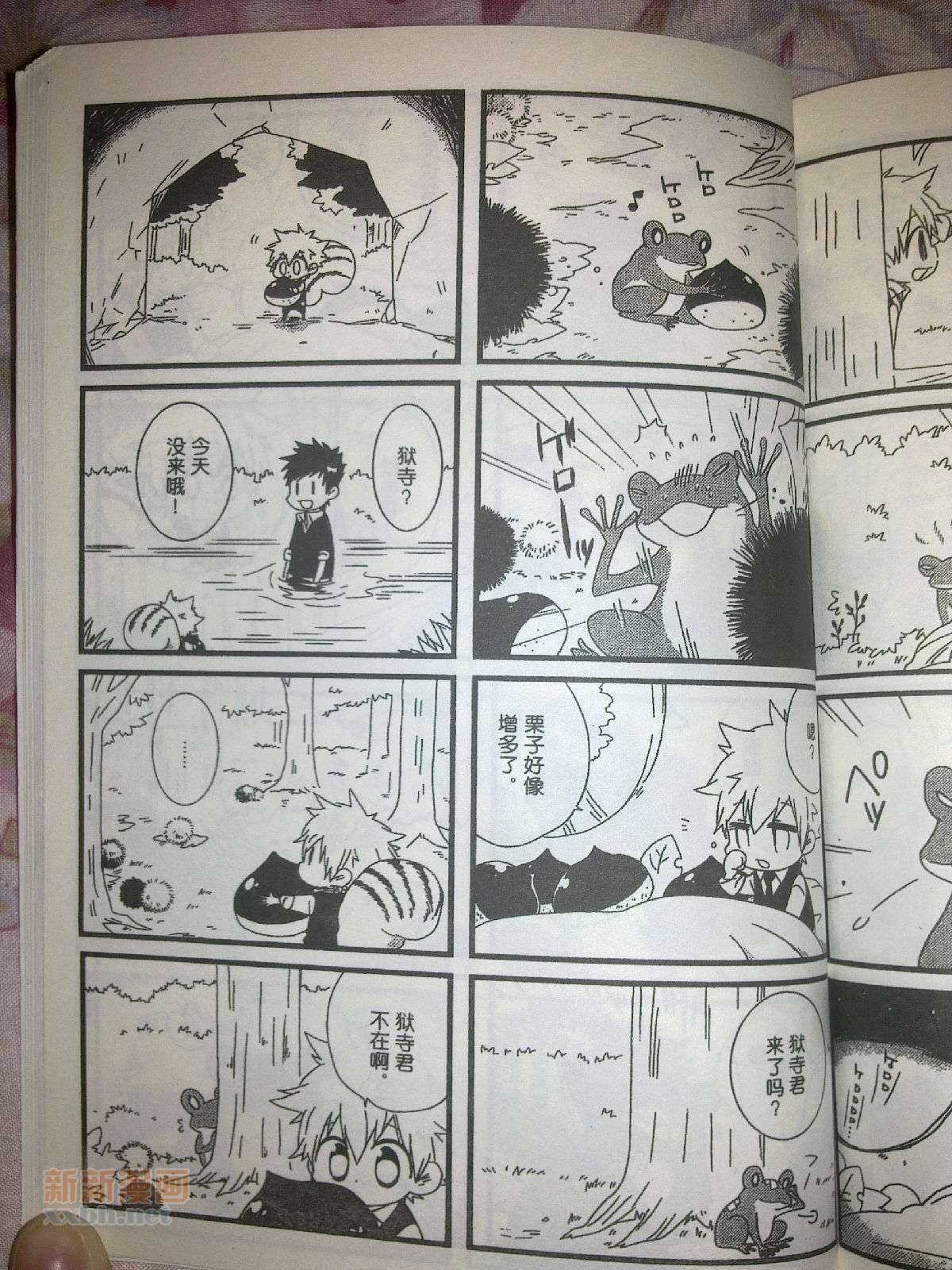 《[家教]狱纲（5927）/关白》并森物语番外某日的森林 第13页