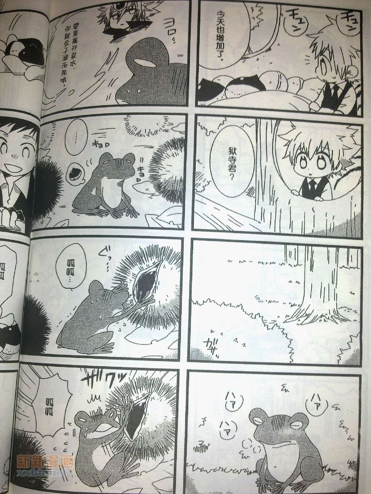 《[家教]狱纲（5927）/关白》并森物语番外某日的森林 第14页