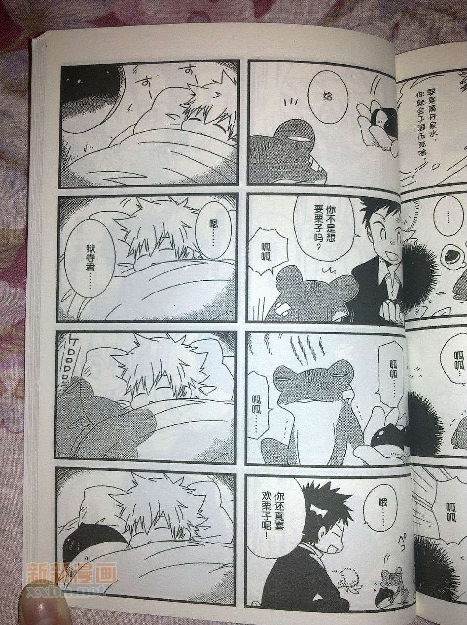 《[家教]狱纲（5927）/关白》并森物语番外某日的森林 第15页