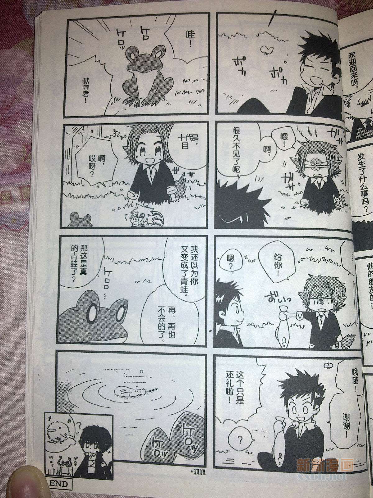 《[家教]狱纲（5927）/关白》并森物语番外某日的森林 第23页