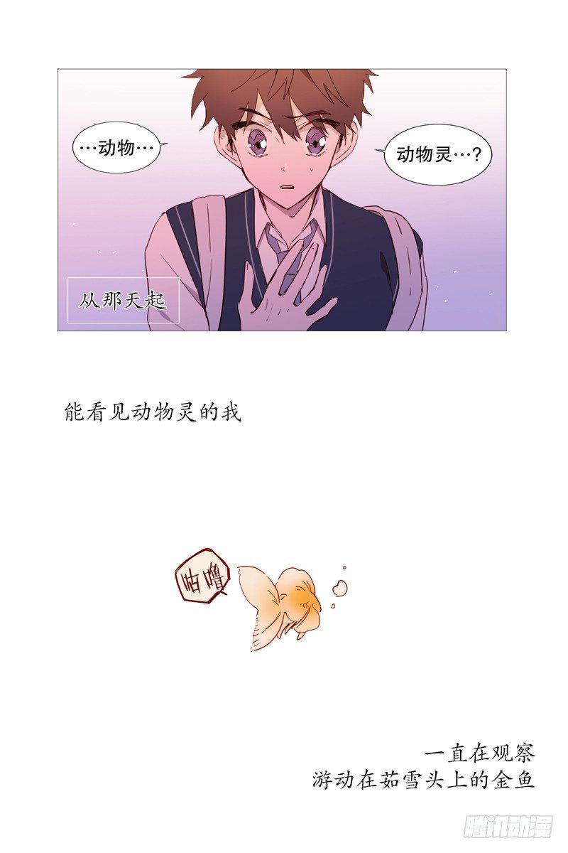 《动物灵管理局》看见幽灵（3） 第13页
