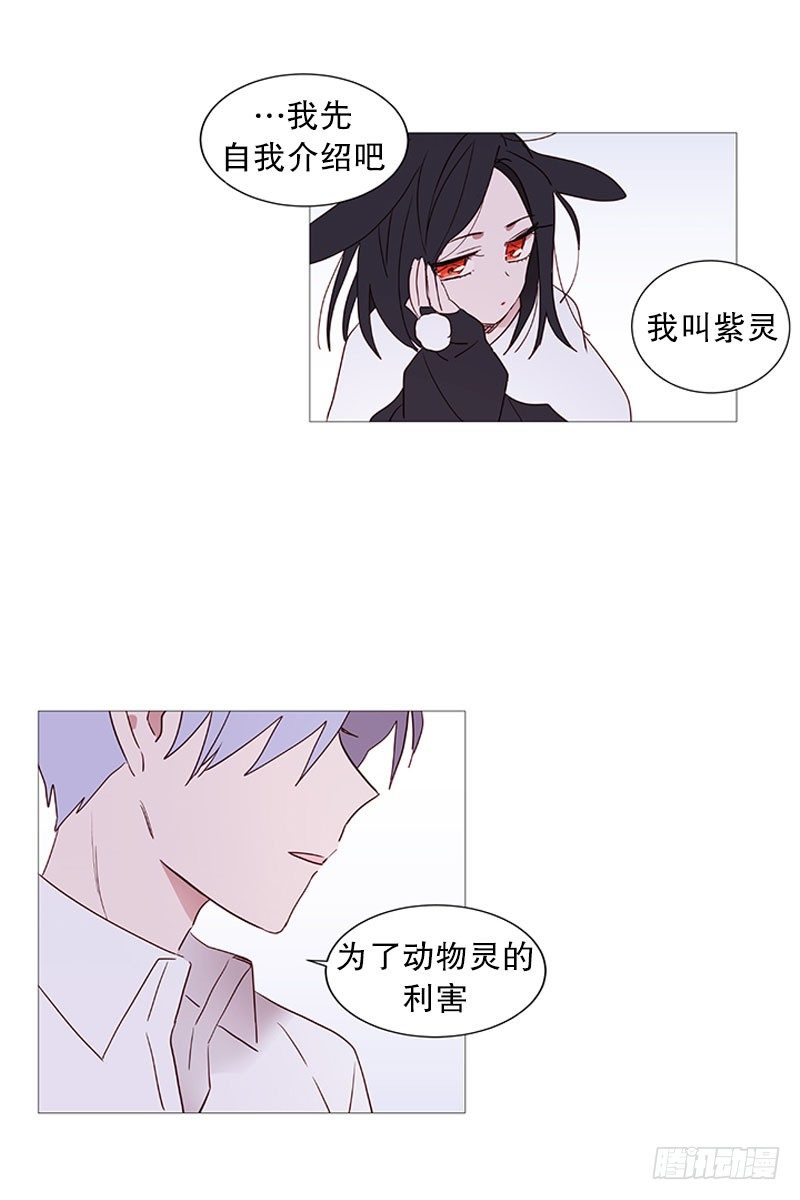 《动物灵管理局》我是紫灵 第16页