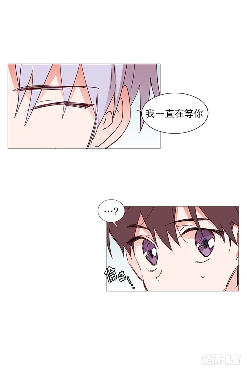 《动物灵管理局》我是紫灵 第5页