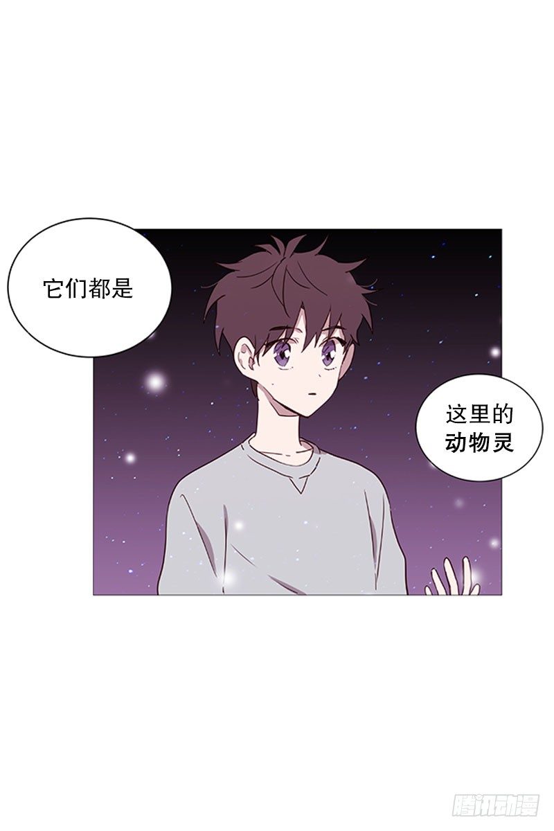 《动物灵管理局》动物们的阴间 第9页