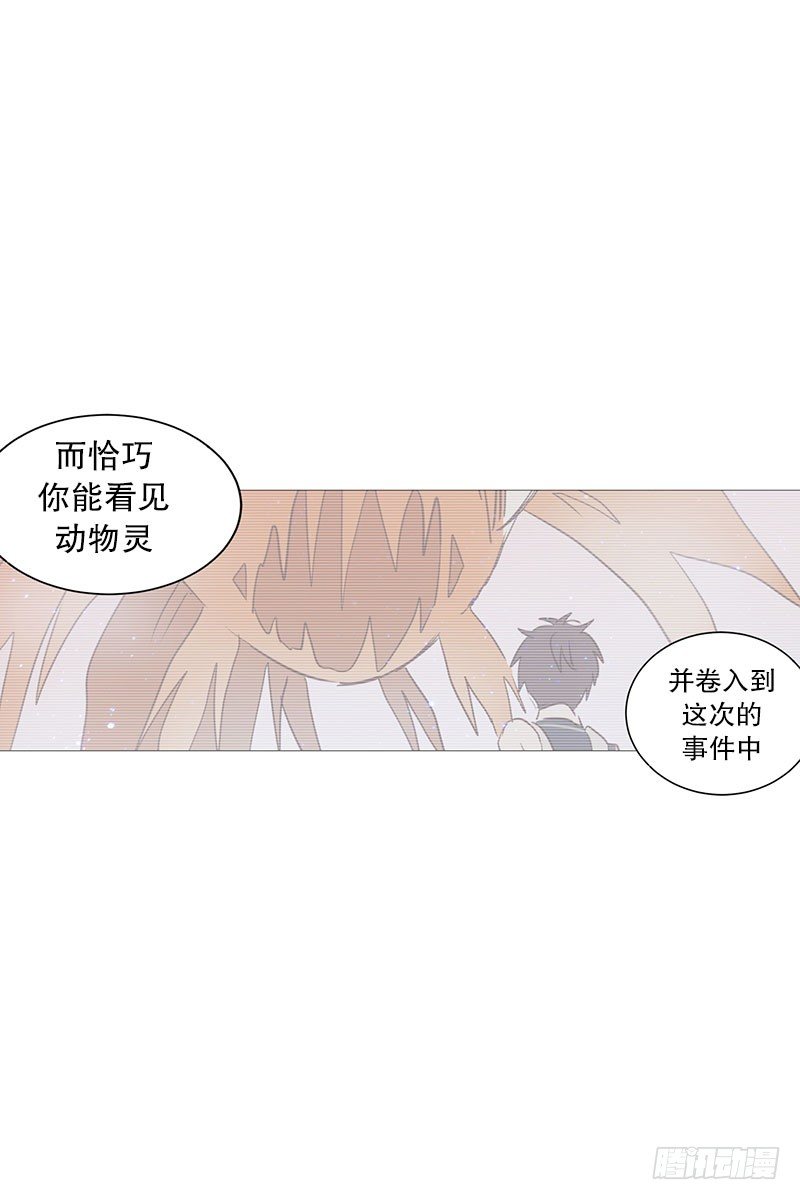 《动物灵管理局》条件 第14页
