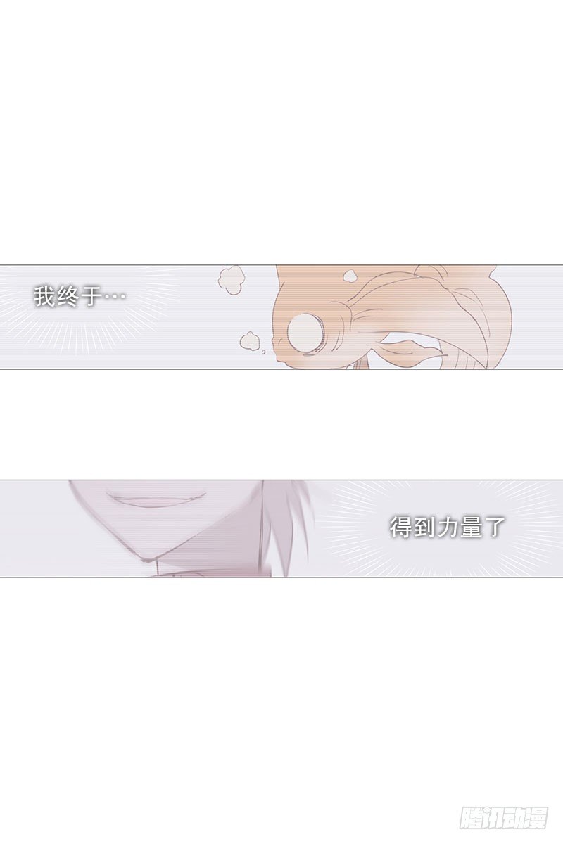 《动物灵管理局》条件 第2页