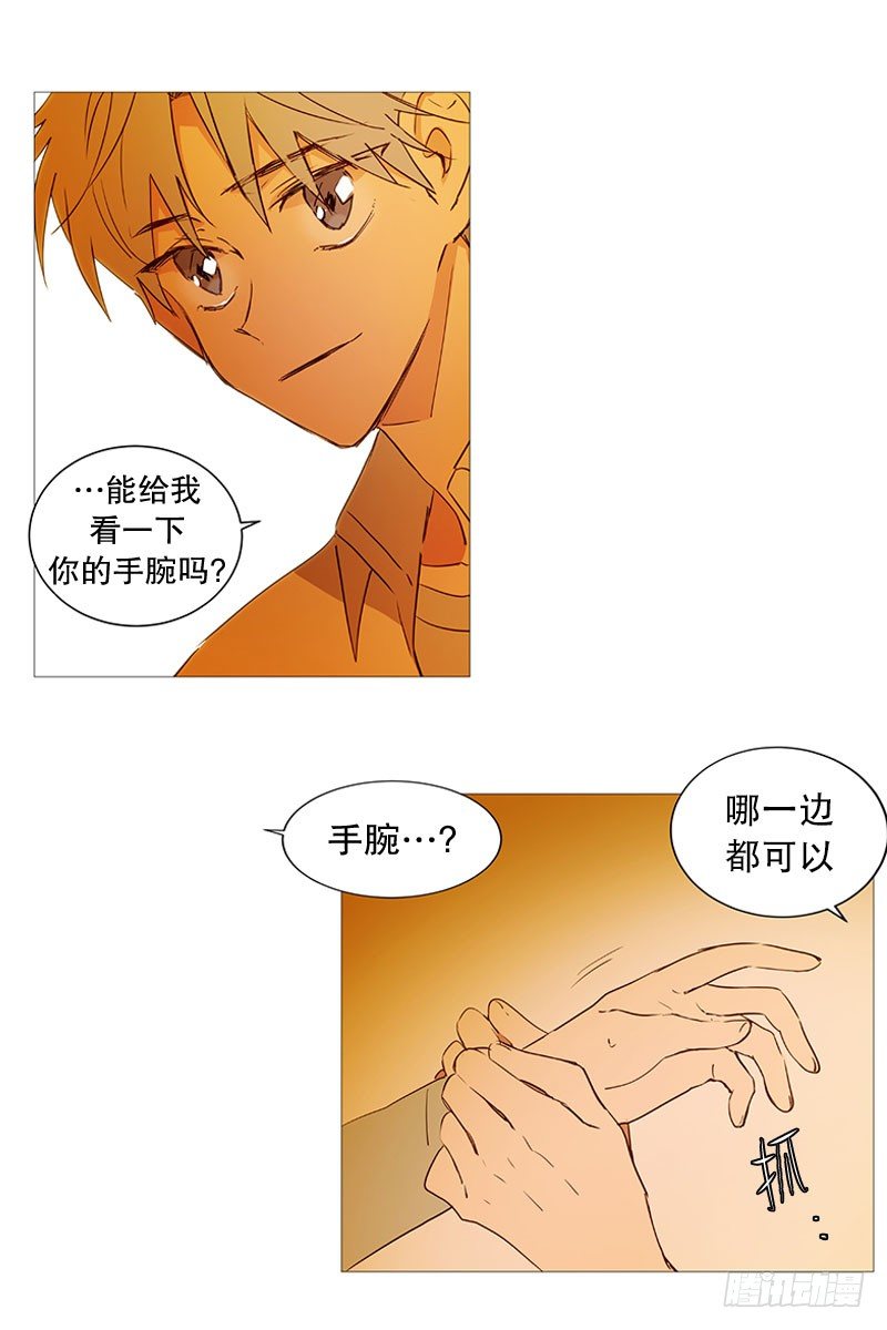 《动物灵管理局》结绳 第17页