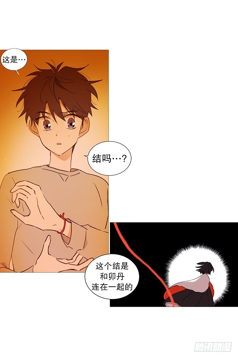 《动物灵管理局》结绳 第19页
