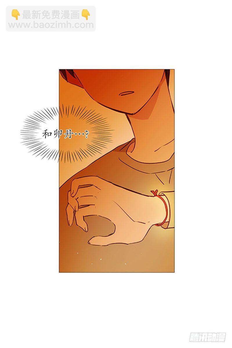 《动物灵管理局》结绳 第21页