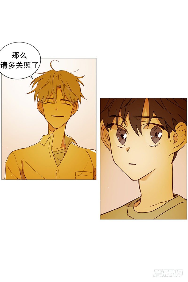 《动物灵管理局》回家 第7页