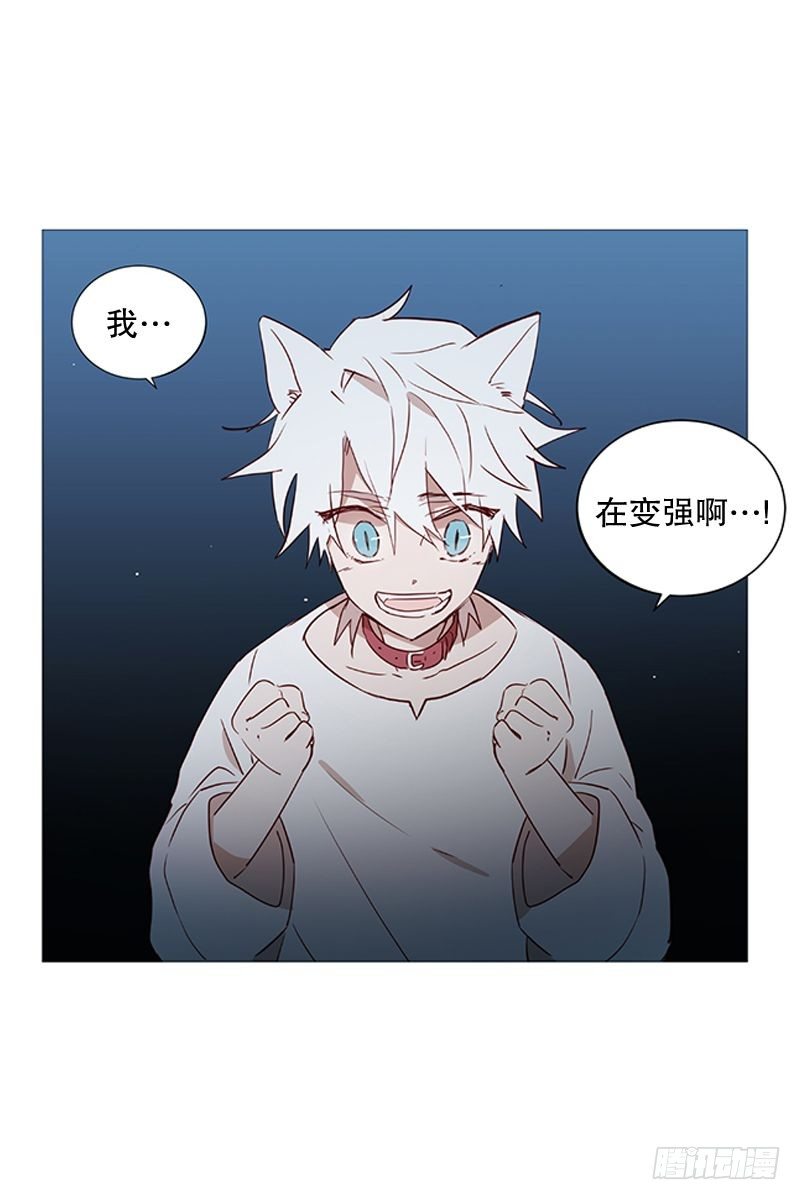 《动物灵管理局》盘算 第23页