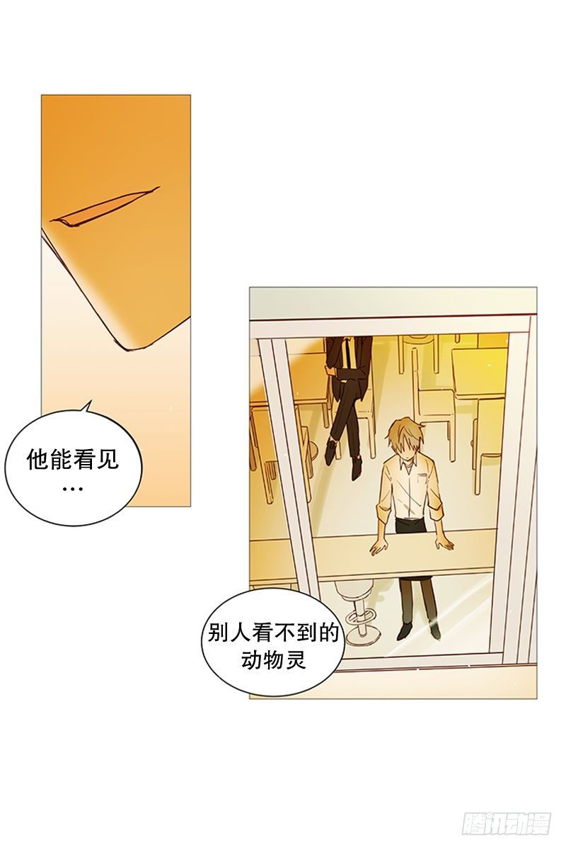 《动物灵管理局》盘算 第4页