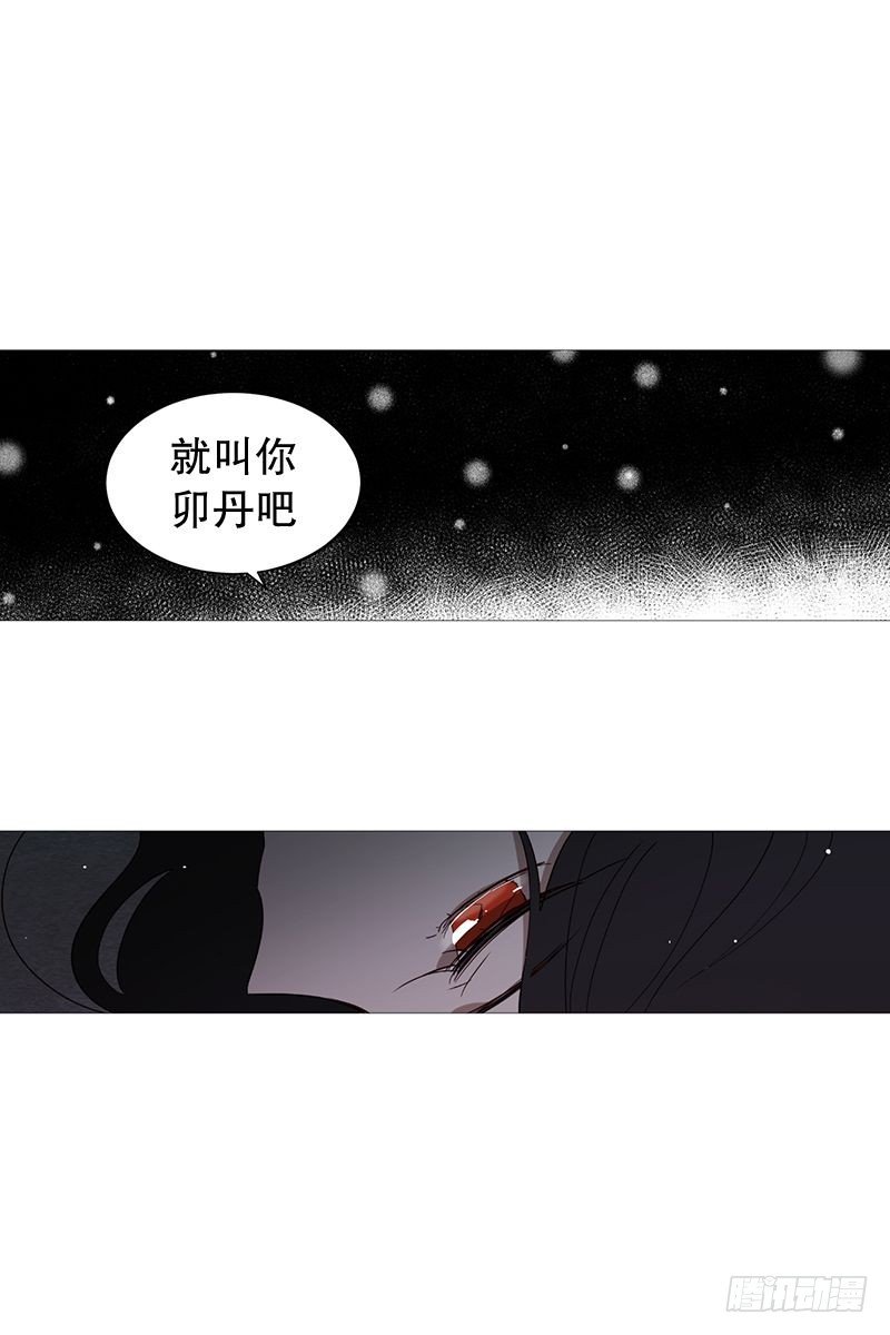 《动物灵管理局》梦 第16页