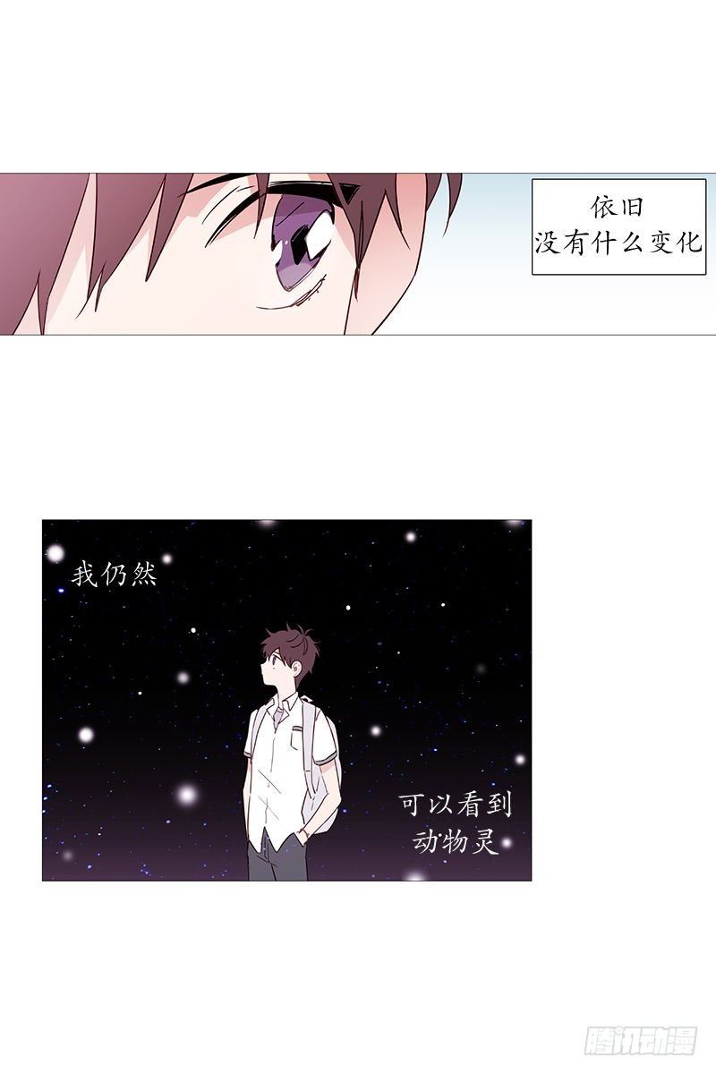 《动物灵管理局》啾 第5页