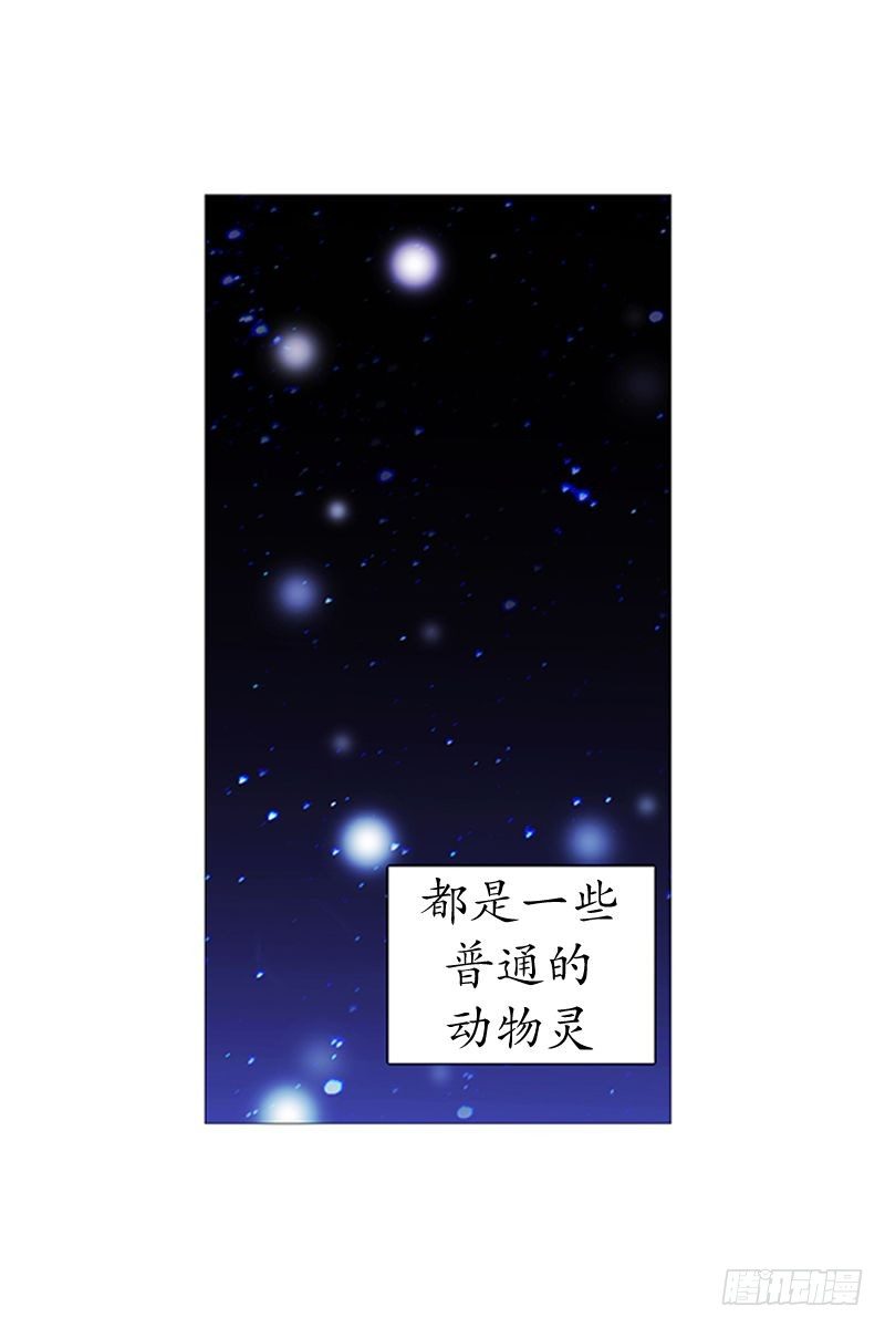 《动物灵管理局》找到你了 第4页