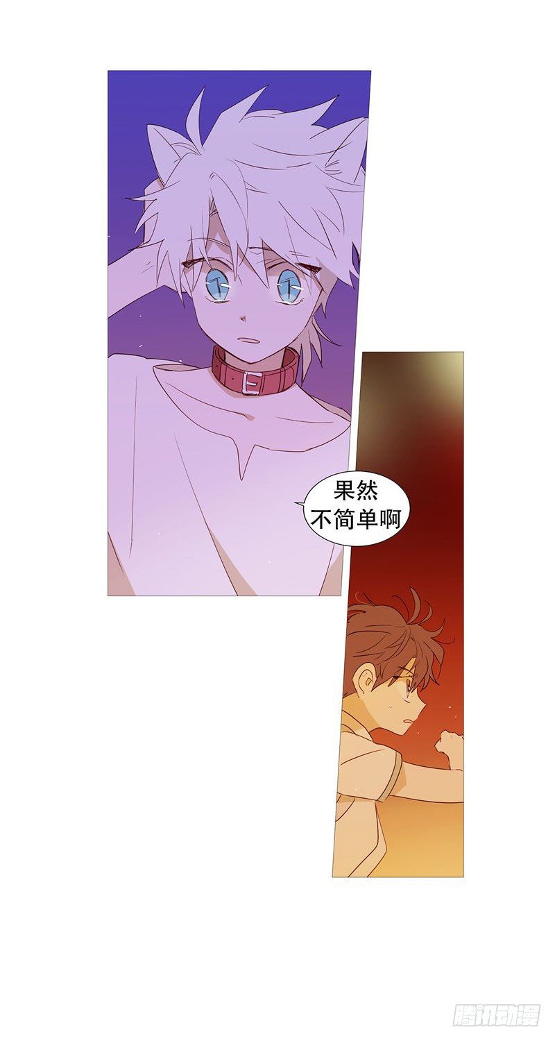 《动物灵管理局》相似 第22页