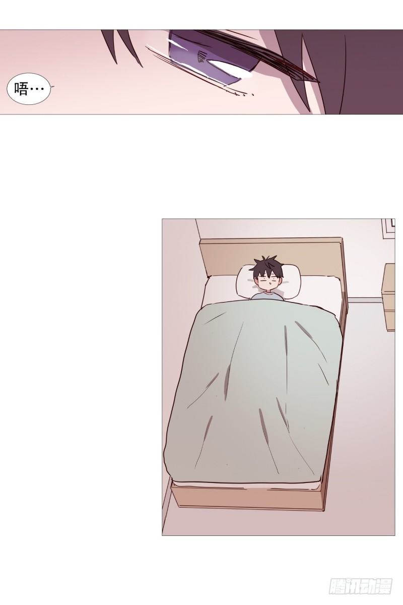 《动物灵管理局》逃离 第16页