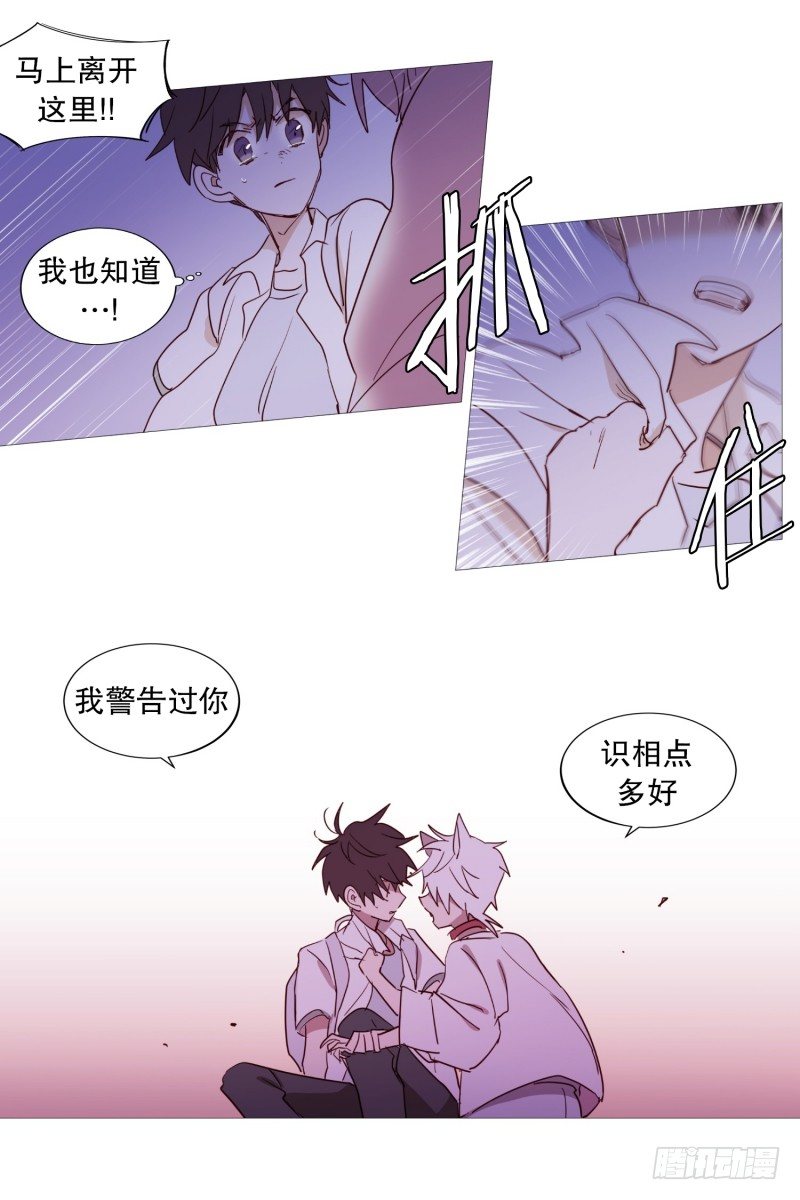 《动物灵管理局》主角降临 第11页