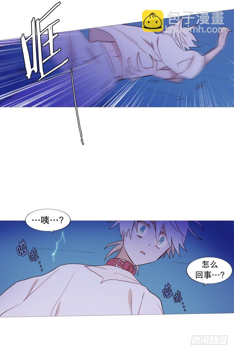 《动物灵管理局》绳结的力量 第2页