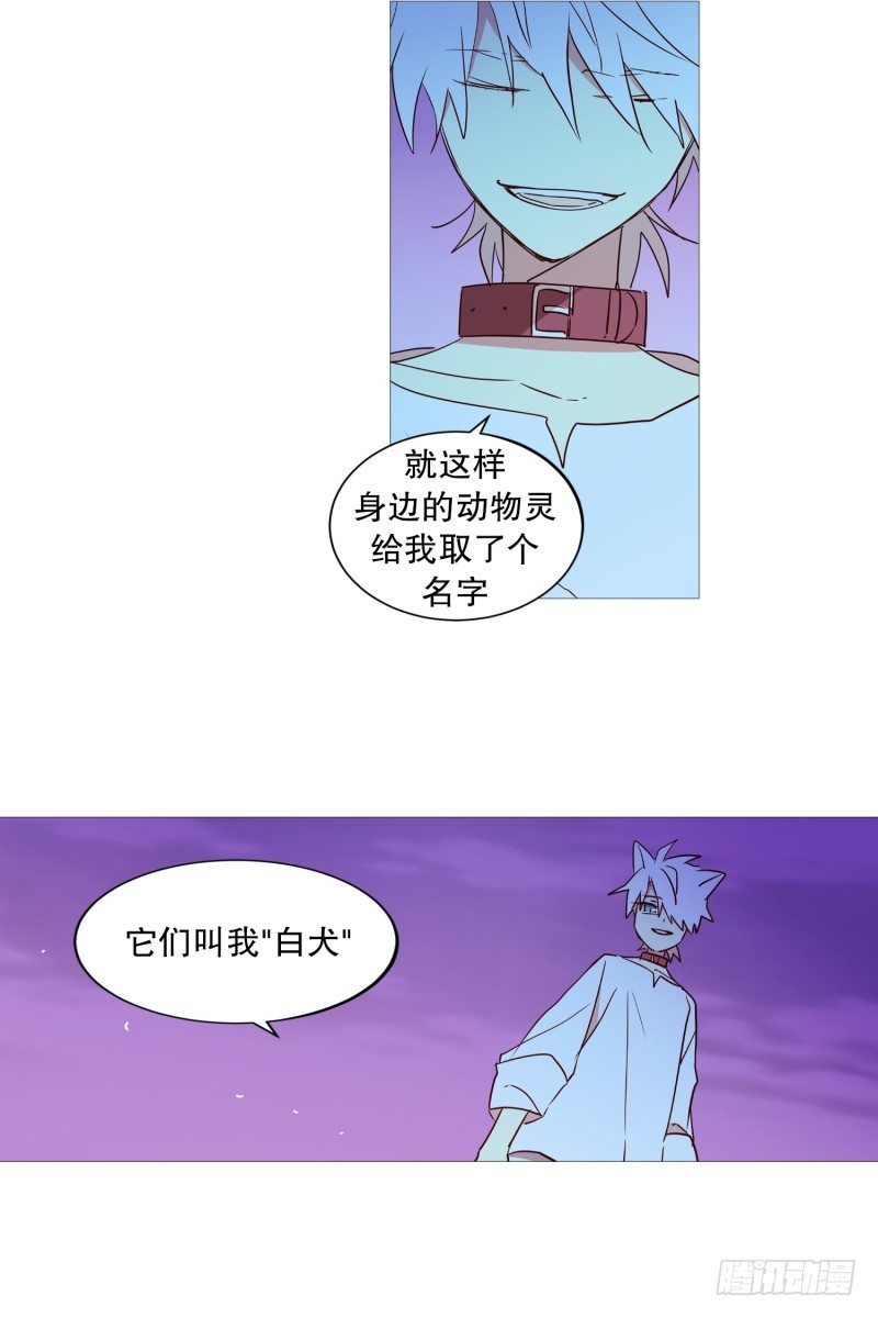 《动物灵管理局》我的名字 第12页