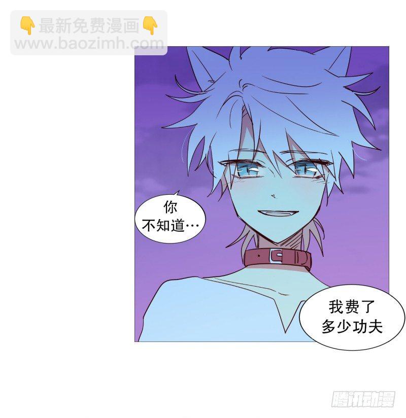 《动物灵管理局》我的名字 第4页