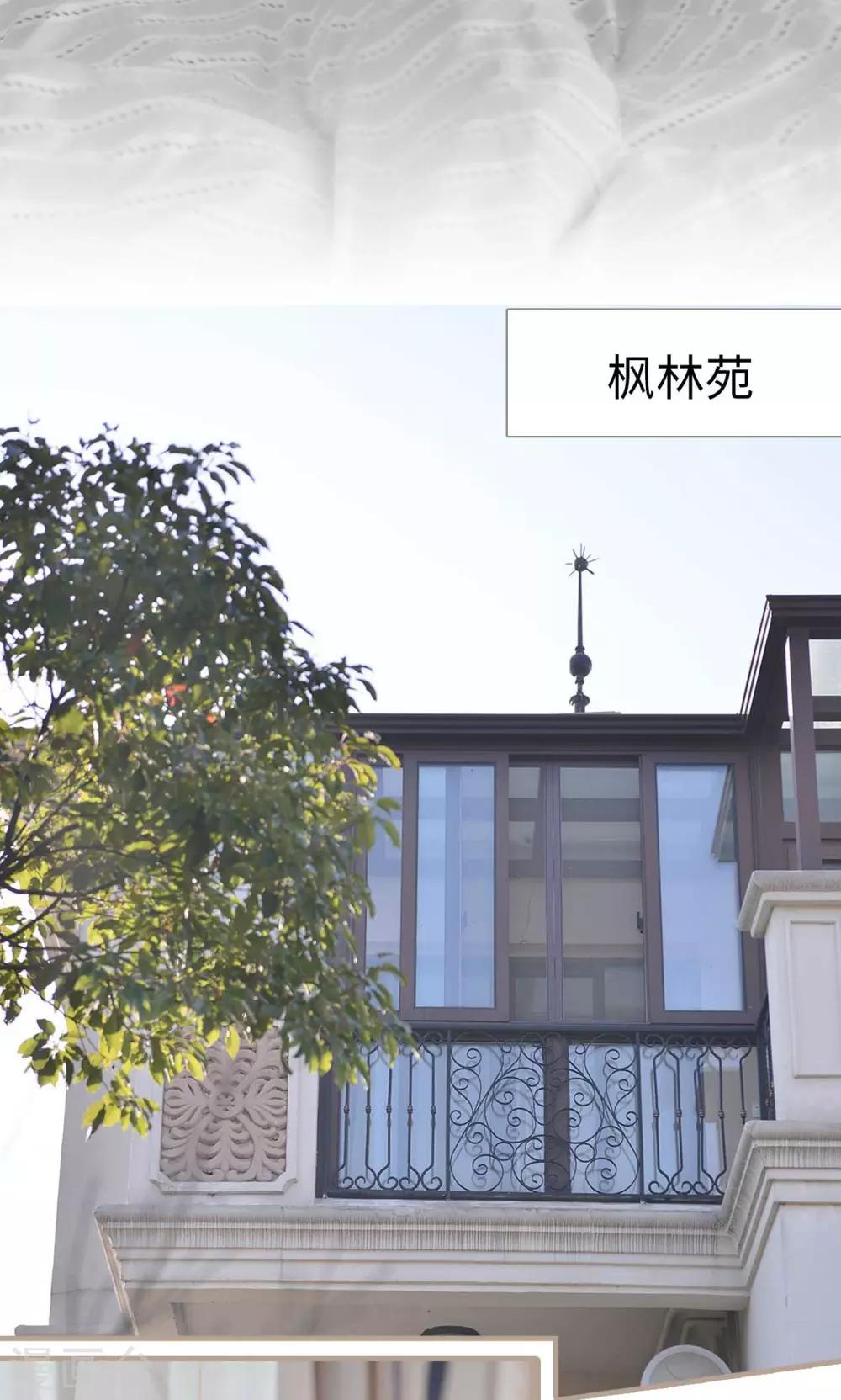 《高调冷婚》第45话 第12页