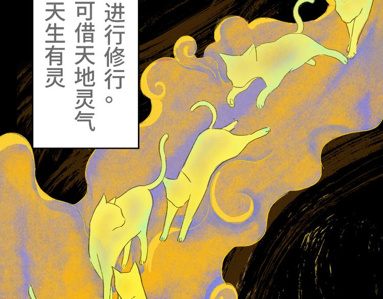 《渡猫师》第01话 恶怨来袭 第3页