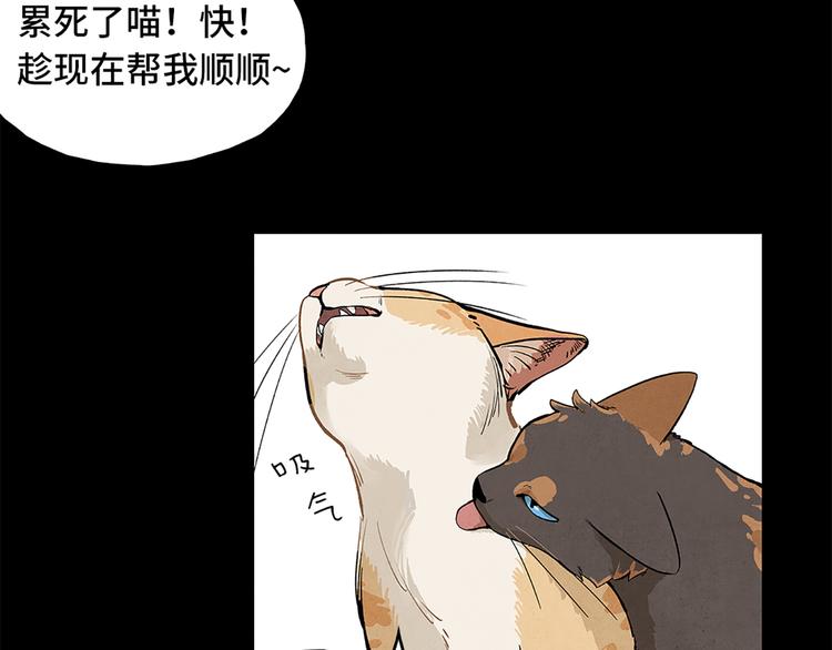 《渡猫师》第00话猫隐传说 第27页