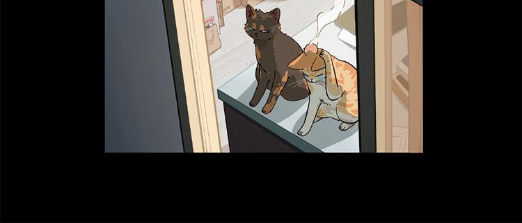 《渡猫师》第00话猫隐传说 第39页