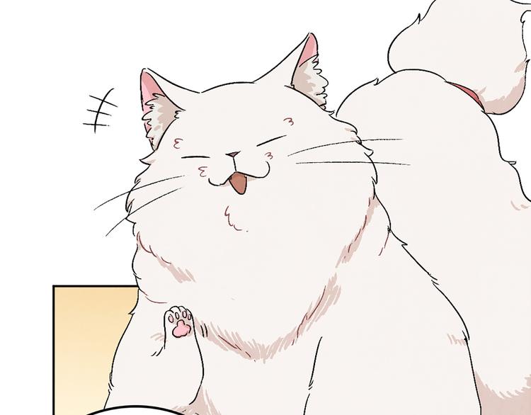 《渡猫师》第03话 共命契约 第38页