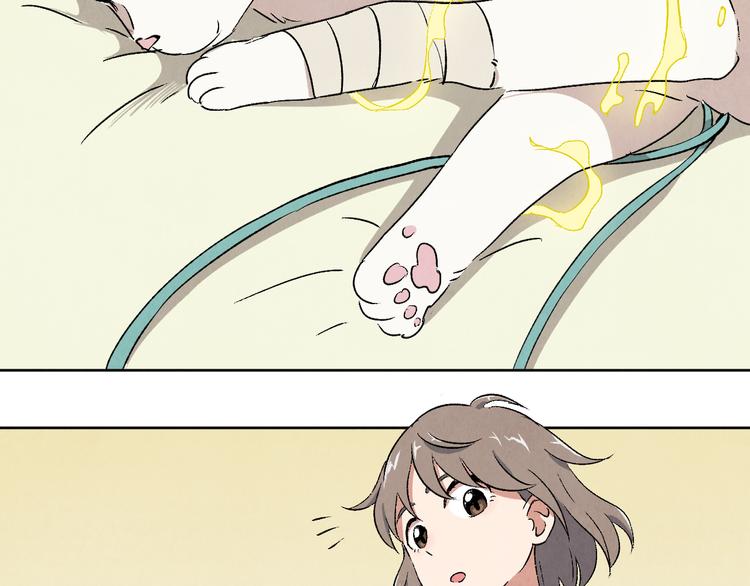 《渡猫师》第05话 渡猫师 第35页
