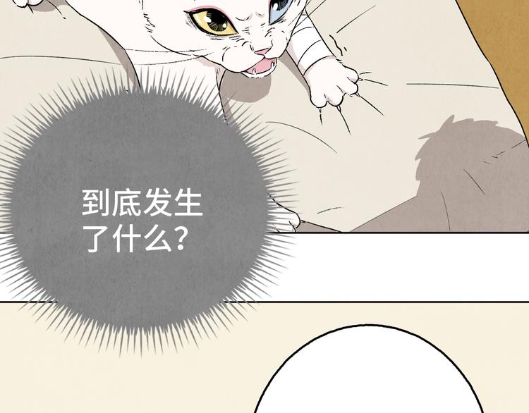 《渡猫师》第05话 渡猫师 第49页