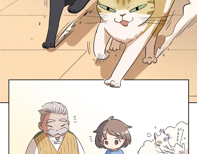 《渡猫师》第06话 剪刀大法 第18页