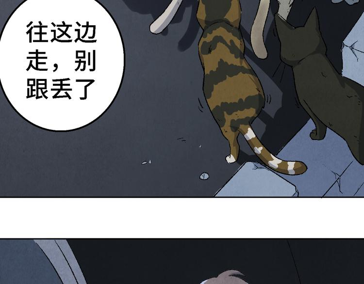 《渡猫师》第18话 夺灵实验室 第17页
