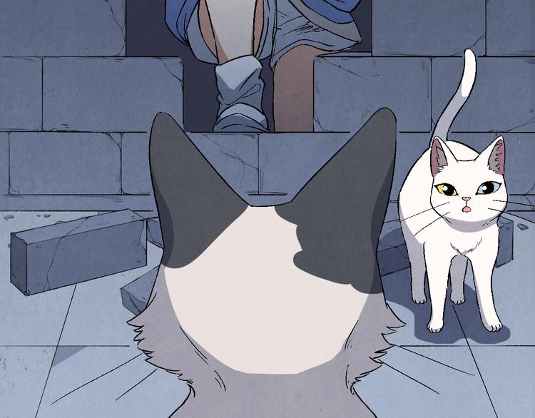 《渡猫师》第17话 拯救灵猫 第30页